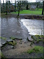 Obscured stepping stones, River Tame