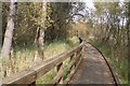 Boardwalk through Turners Wood