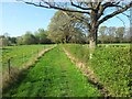 Footpath from Mornshill woods and Banks Common