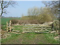 Field entrance off National Cycle Route 10