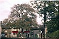 Elm Tree Square, Embsay.