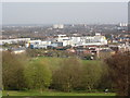 Estate in Hornsey from Alexandra Park