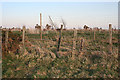 A Multiplicity of Fences