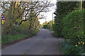 TQ7195 : Park Lane, Ramsden Heath by Roger Jones
