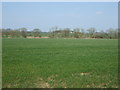 Crop field towards March Burn