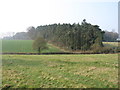 Country near Buckland Common