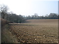 Farmland near Swan Bottom