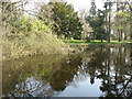 The pond at Finchers House, Beamond End