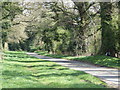 Heath Road, leading to Troston Heath Cottages