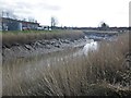 River Parrett, Bridgwater