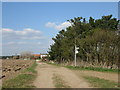 Bridleway south of Mattersey Grange