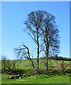 View towards radio mast, Combe, Berkshire