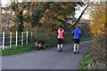 Brent Knoll : Crooked Lane