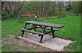 SO8377 : Picnic table in the Woodland Garden, Springfield Park, Kidderminster by P L Chadwick