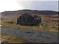 NM6432 : Ruined house at Torness by Steven Brown