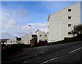 Heol y Ffynon houses, Penrhys