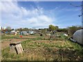 Nursery Lane Allotments