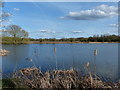 Meadow Pool at the Watermead Country Park