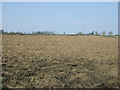 Farmland east of Whalton