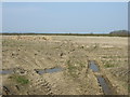 Farmland near Glororum