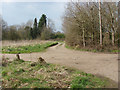 Farm access road, Broadstreet Common