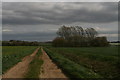 Farm track leading off Somerton to Colby footpath