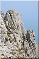 SS1345 : Rock outcrops, Lundy Island by Philip Halling
