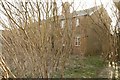 House through the shrubs