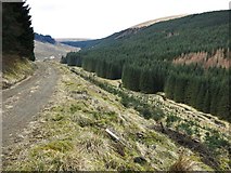 NX7197 : Forestry track on north side of Mullwhanny by wrobison