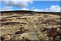 SD9734 : Pennine Way ascending towards Withins Height by Chris Heaton