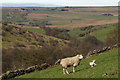 View from Fawside Edge