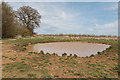 TL1511 : Pond, Heartwood Forest, Sandridge, Hertfordshire by Christine Matthews