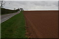 Strips of colour: driveway to Scopwick Lodge Farm