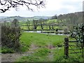 Artificial lake in valley of Offwell Brook (1)