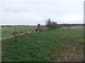 Hopehead Trig Pillar