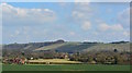 View over farmland to Ham Hill, Wiltshire