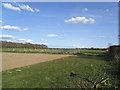 Path east from Lympne