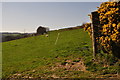 SS9039 : West Somerset : Grassy Field by Lewis Clarke