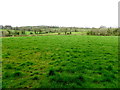 Ballyard Townland