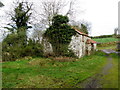 Ruined farmhouse, Ballyard