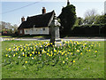 The war Memorial at Barnham