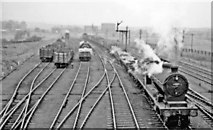 SK4483 : Beighton: typical freight train on ex-GCR main line, 1951 by Ben Brooksbank