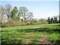 Field north of Station Road