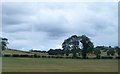 Arable land on the north side of Ballydugan Road