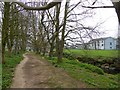 Footpath by River Coly, Colyton