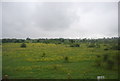 Meadow north of Pisea Marshes