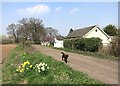TQ4494 : Dog on Green Lane by Des Blenkinsopp