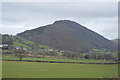 View to Moel Y Golfa