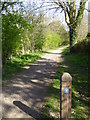 The South Downs Way by Leydene Park