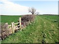 Llwybr cyhoeddus Llansaint Public Footpath